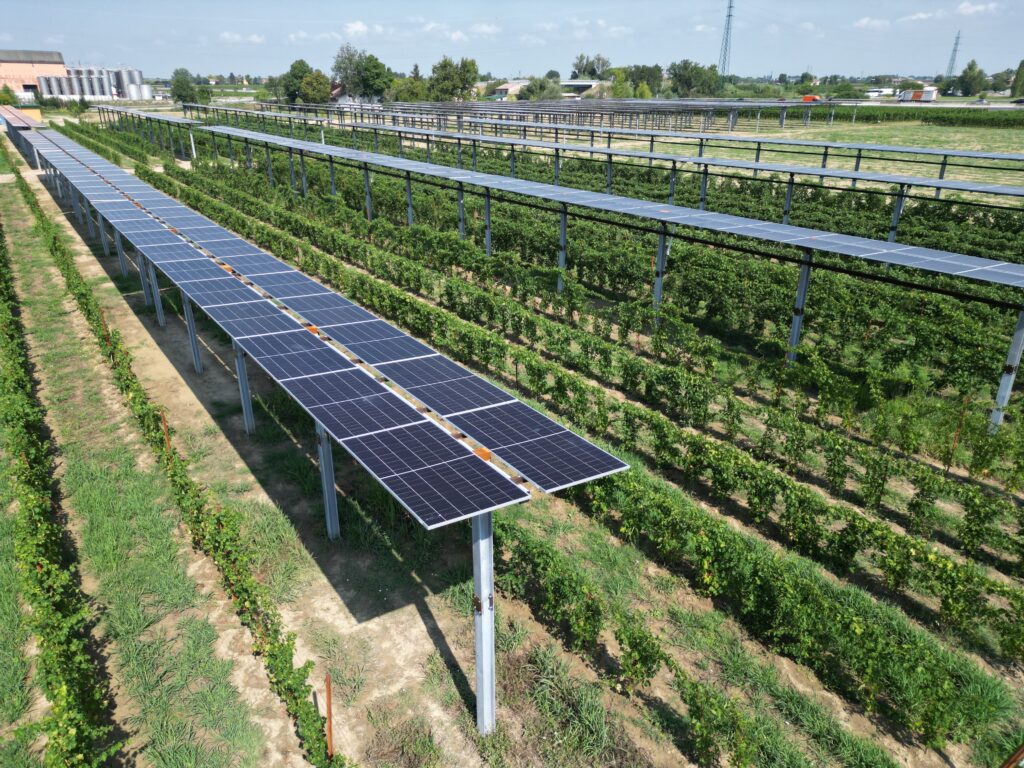 Caviro | Inaugurazione impianto agrivoltaico